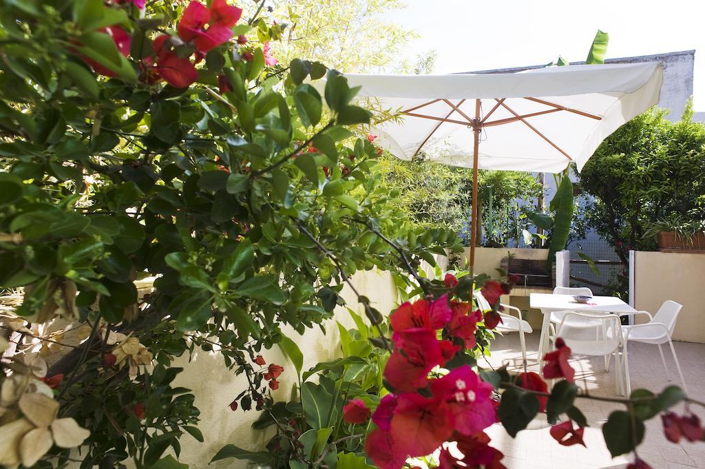 Appartamenti Le Pleiadi - Succhivo D'Ischia Sant'Angelo  部屋 写真